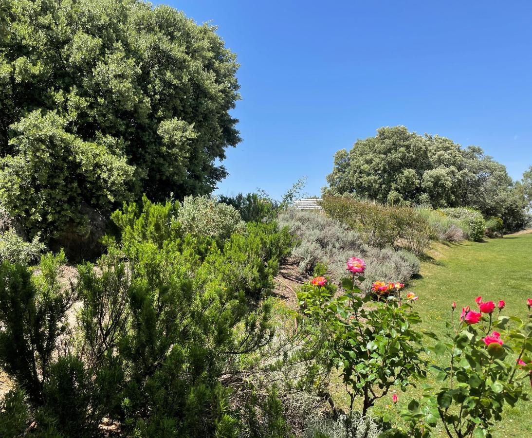 El Encinar De Gabino Βίλα Zarzuela del Monte Εξωτερικό φωτογραφία